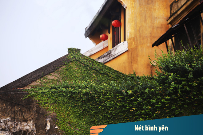 Những ngôi nhà mái rêu ở Hội An